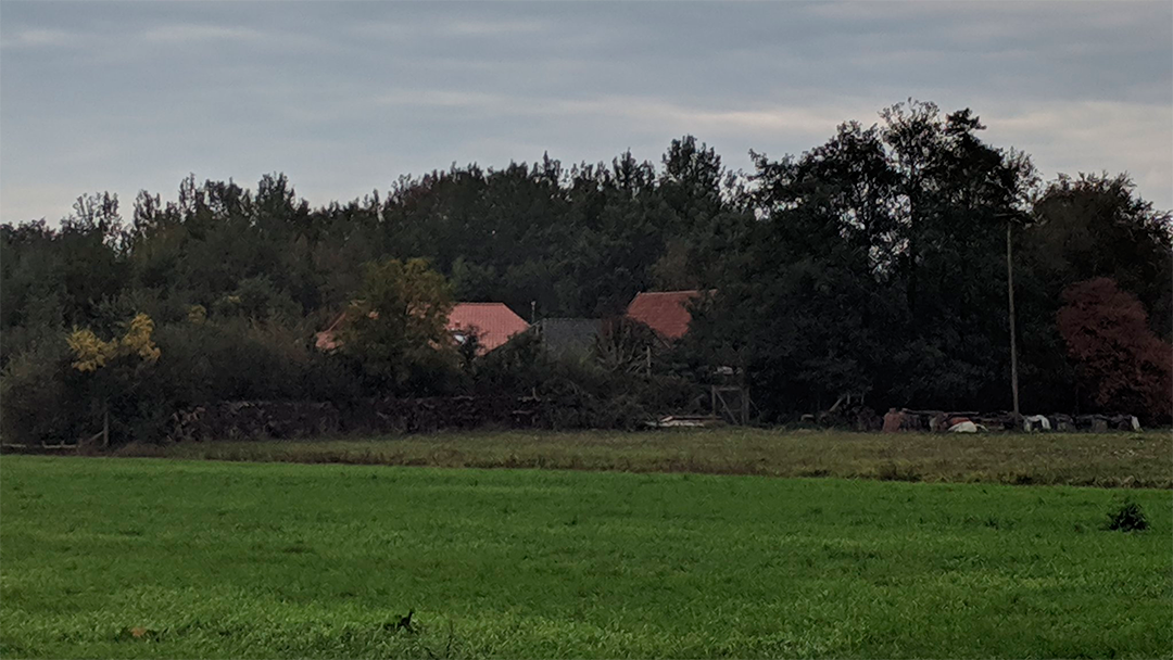 granja fin del mundo Descubren familia que se ocultó 9 años en una granja esperando el fin del mundo