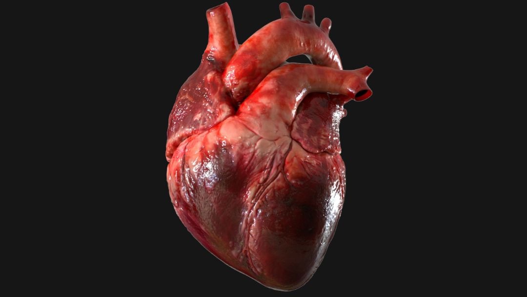 Reviven corazón humano que ya no latía