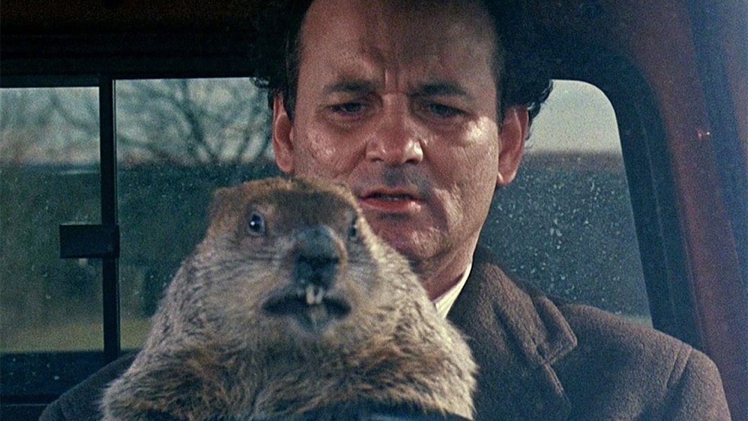 Bill Murray volverá al universo de El Día de la Marmota 18 imagen de El Día de la Marmota