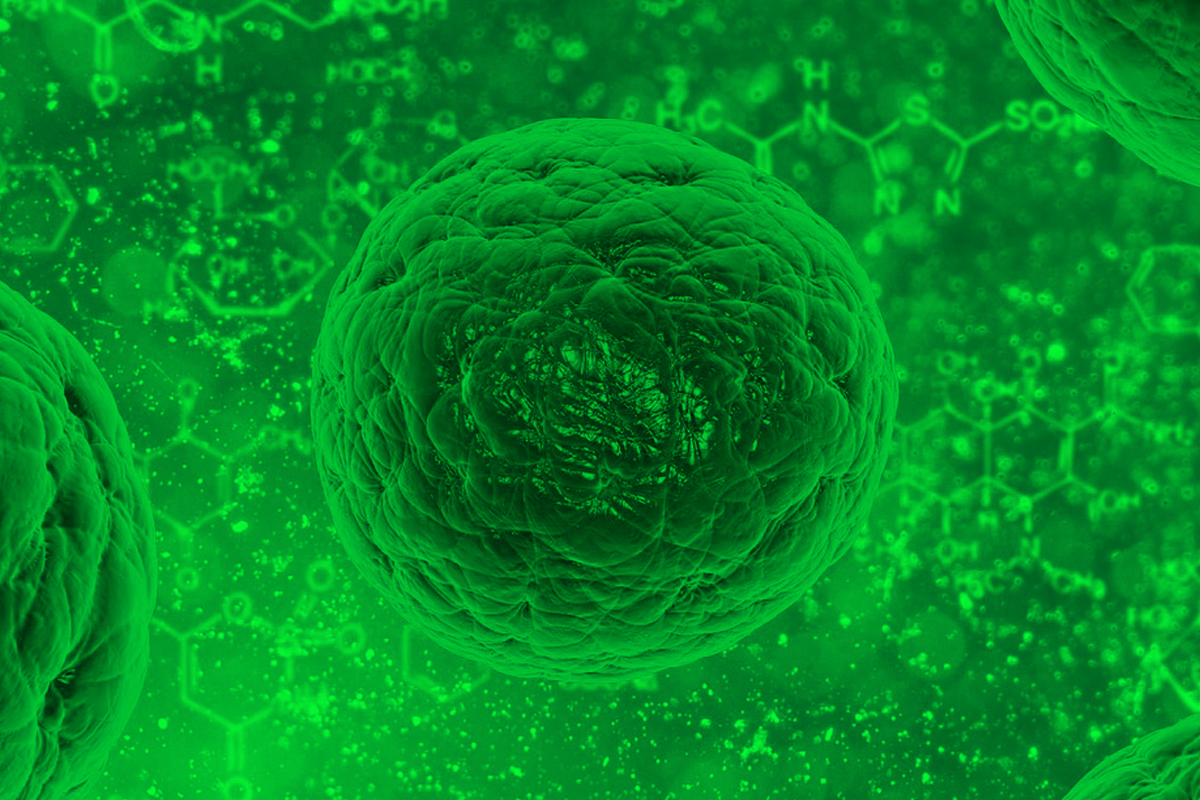 16 millones de personas viven en cuarentena por coronavirus 14 Coronavirus Tiempo Vida