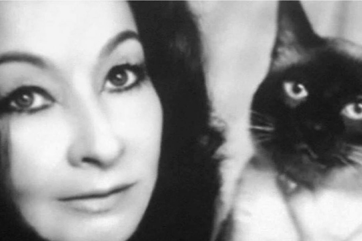 Amparo Dávila Muerte