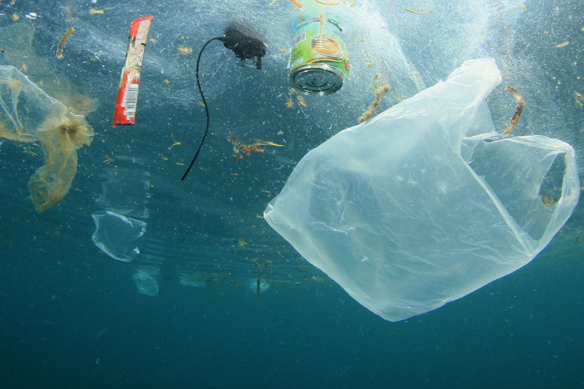 Mar Océano Contaminación El ecosistema marino podría colapsar esta década según un nuevo estudio