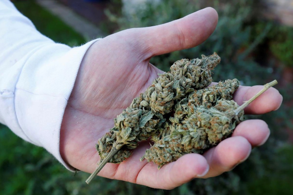 Marihuana Coronavirus COVID-19