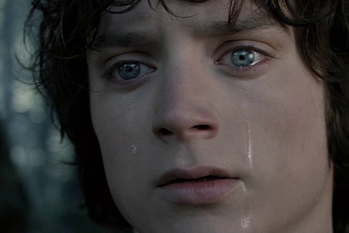 Elijah Wood Ian Holm Lord Of The Rings
