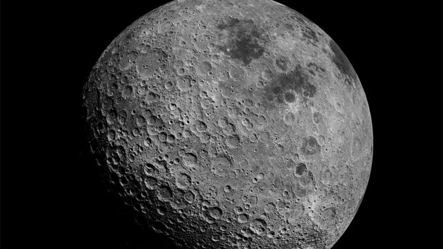 NASA NASA Rábanos NASA Rábanos Luna