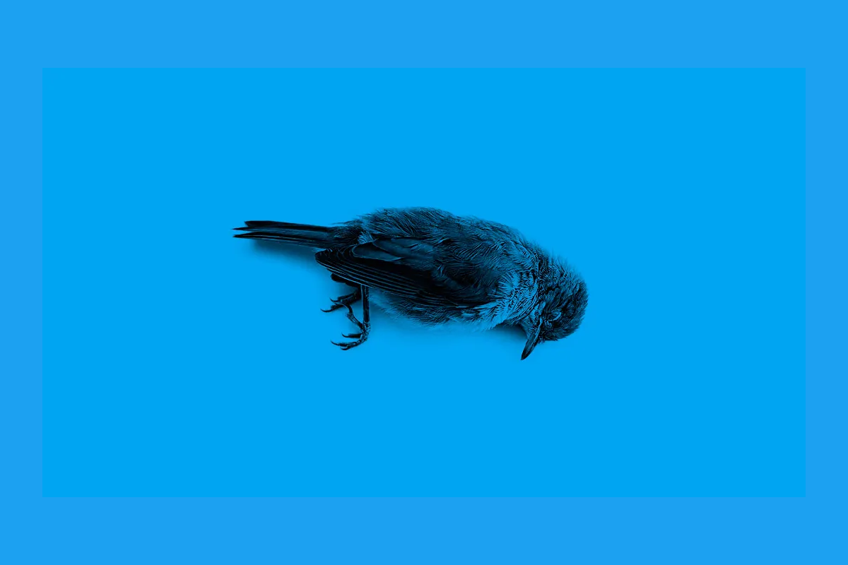 Twitter bloquea todos los tuits de cuentas verificadas por hackeo (Actualizada) 13 Twitter, Seguridad, Cuentas Verificadas, Hackeo