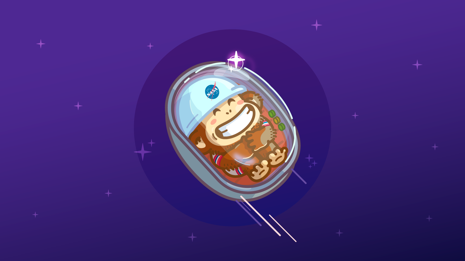 Breve historia de los animales que mandamos al espacio