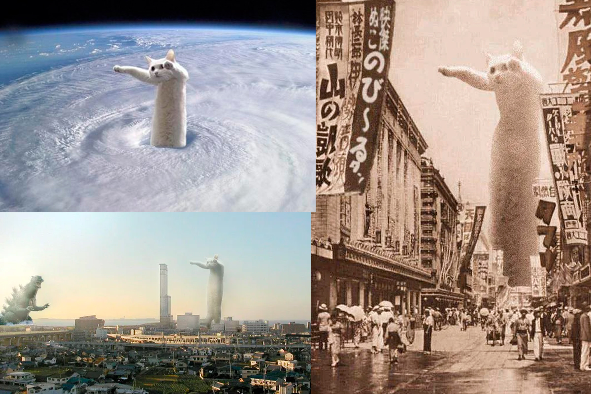 Longcat meme muere Nobiko, el gato largo de los memes, murió a los 18 años