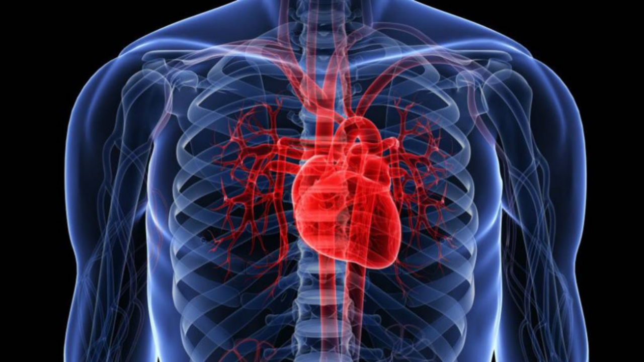 Covid-19 causa enfermedades cardiacas en pacientes recuperados 25 Covid-19 causa enfermedades cardiacas en pacientes recuperados