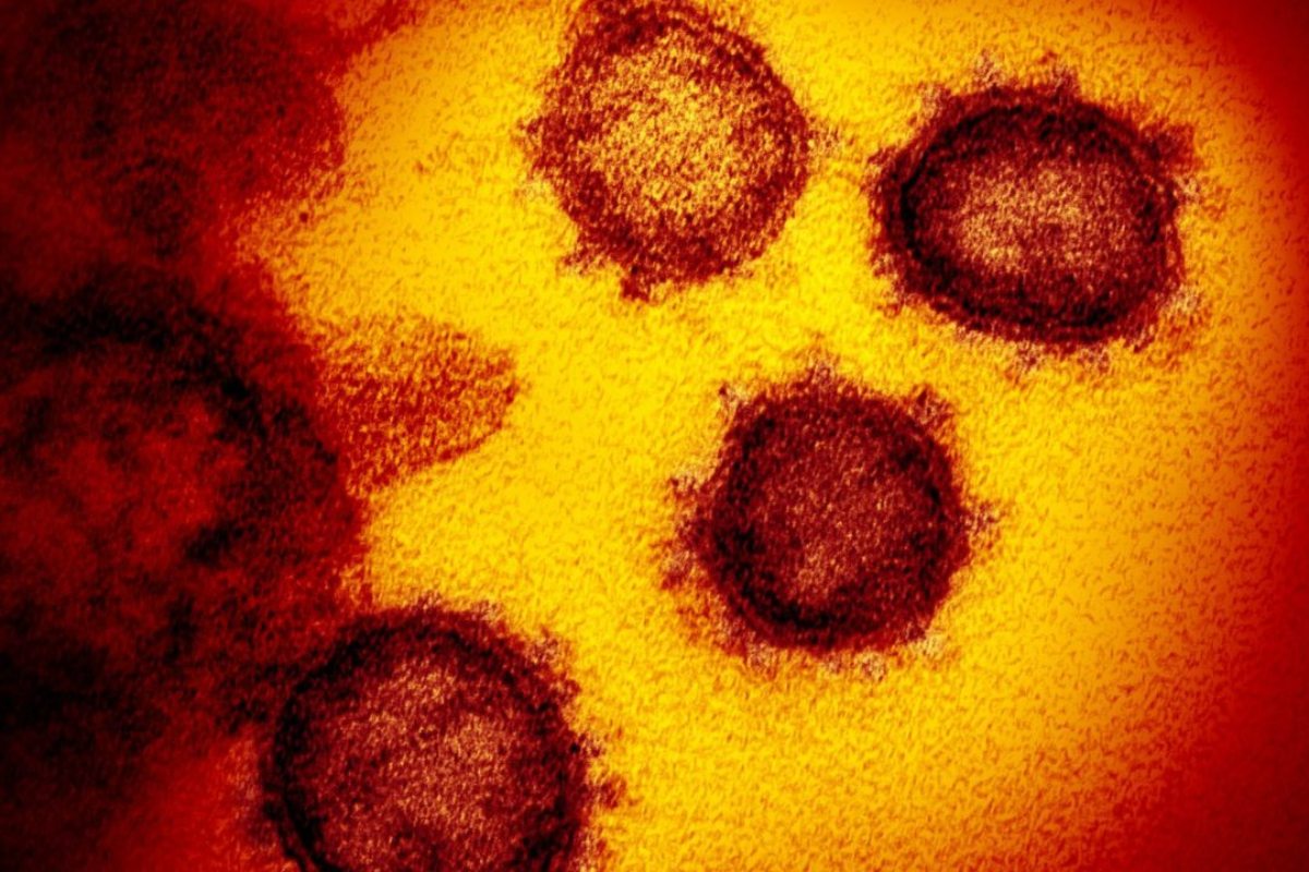 Nueva cepa del coronavirus