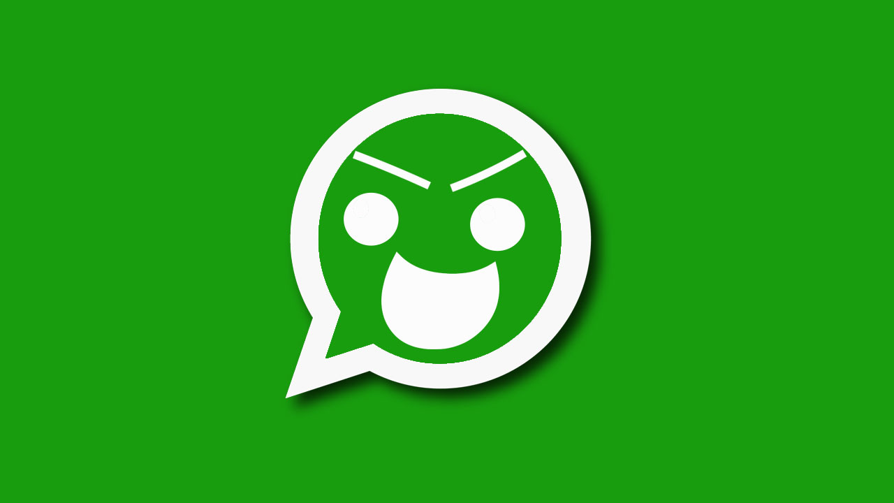 WhatsApp Para qué usa tus datos