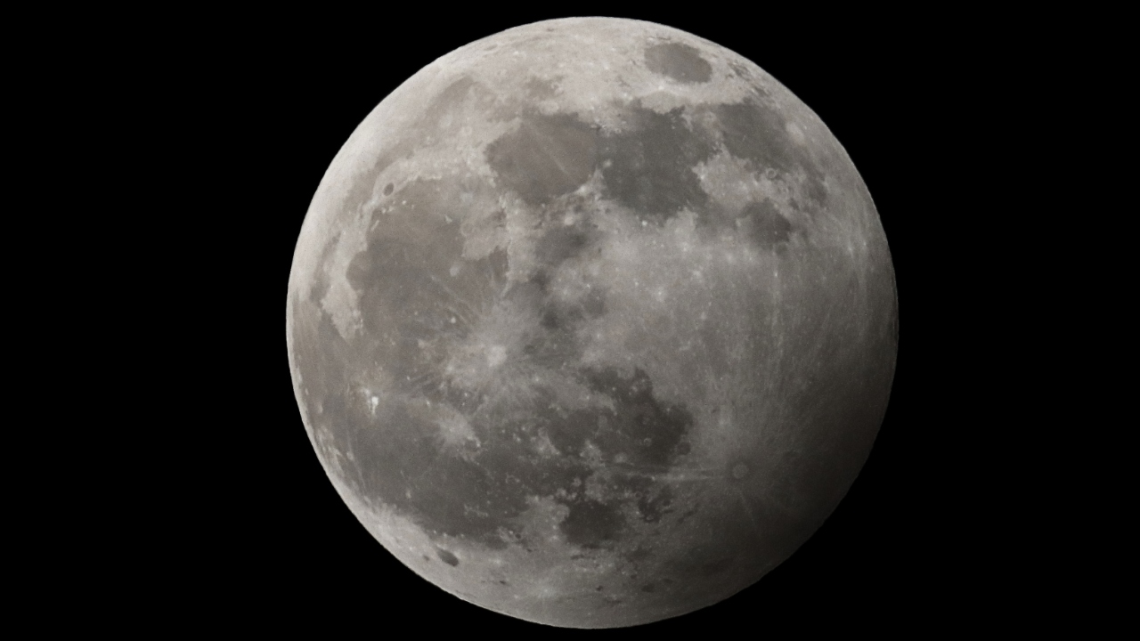 Luna del Lobo