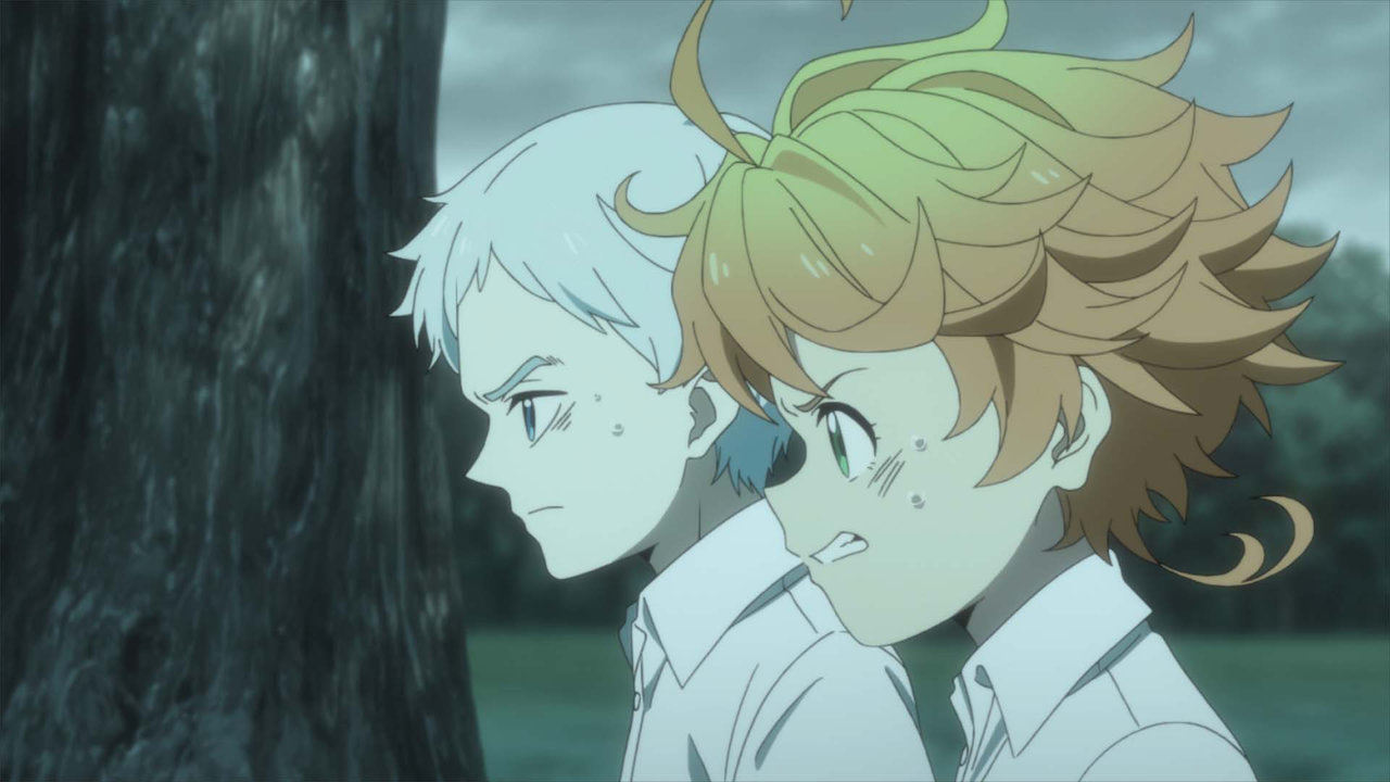 Escritores Segunda temporada The Promised Neverland Anime