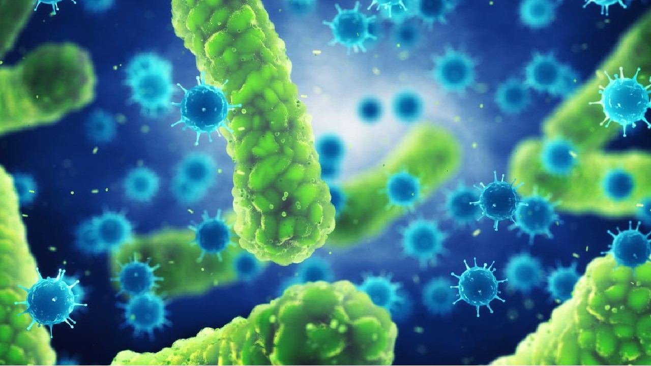 microorfanismos ipn metales pesados