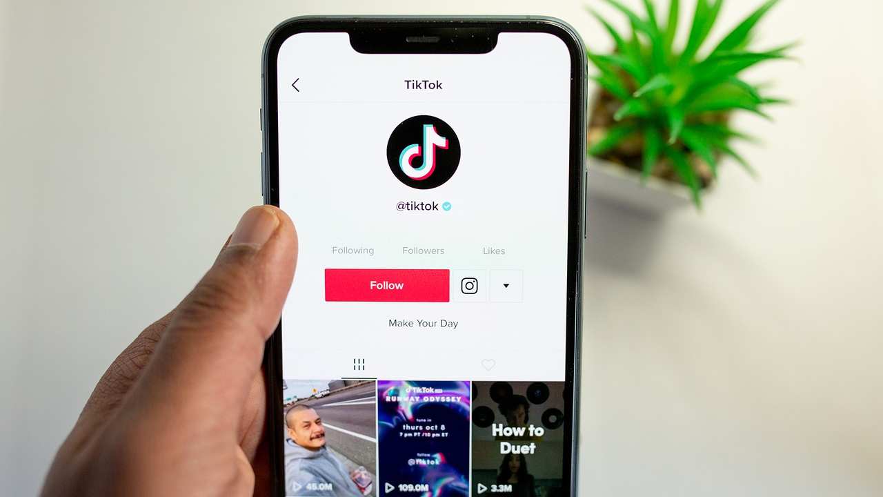 TikTok función propinas creadores contenido