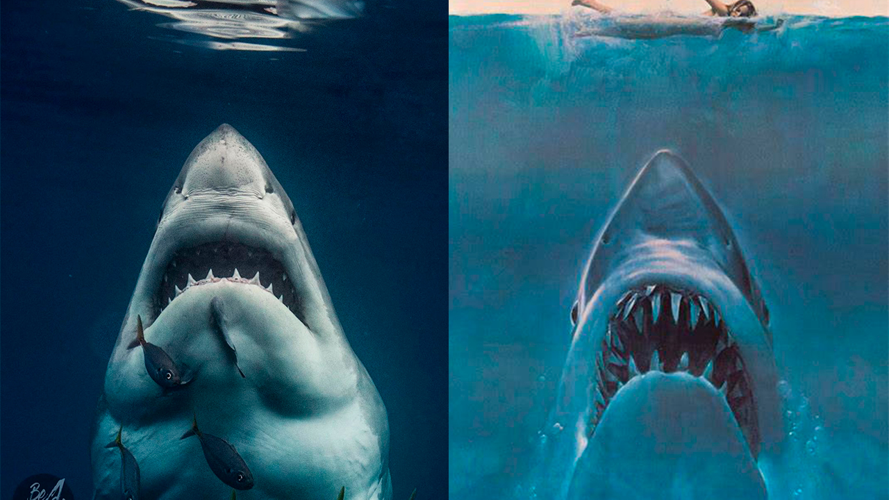 Tiburon blanco portada jaws mexico