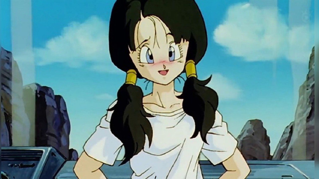 Dragon Ball Z Anime Cosplay Videl DBZ