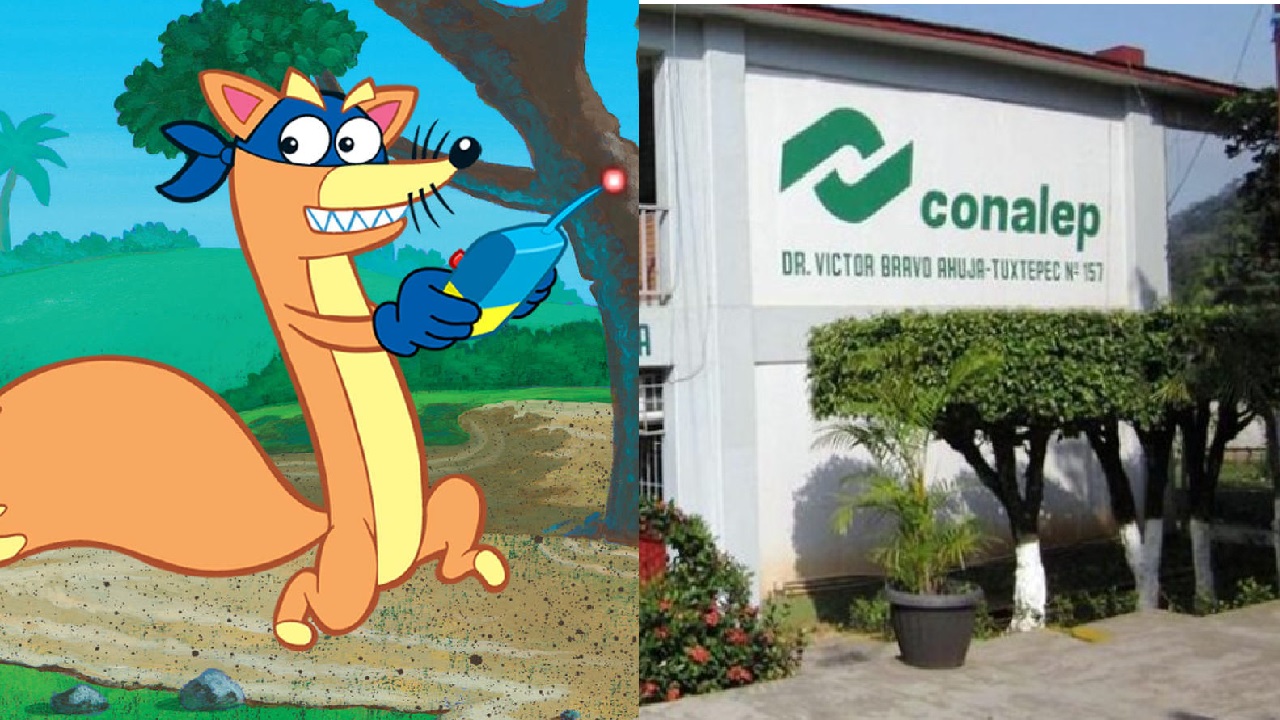 nickelodeon conalep criptomonedas mina