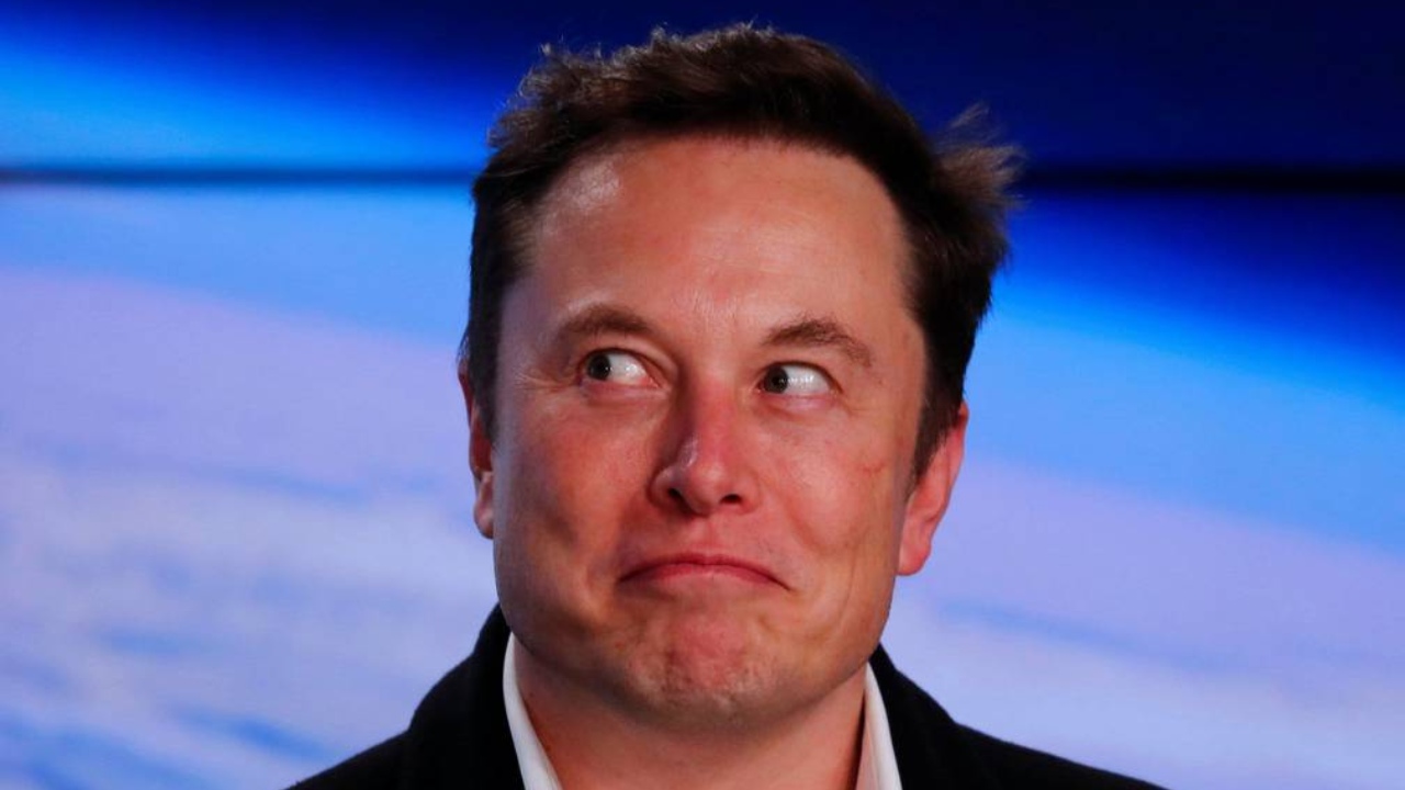 Elon Musk crear nueva red social