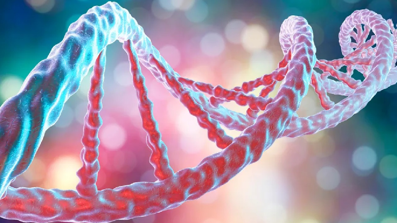 Científicos han secuenciado por primera vez en la historia el genoma humano al 100 por ciento 11 genoma humano científicos adn