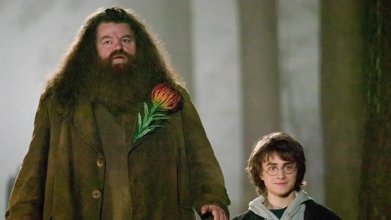 personajes de harry potter hagrid