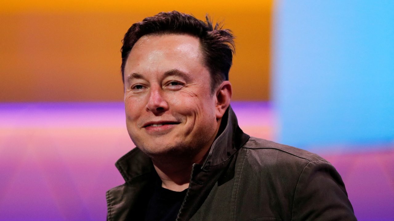 elon musk twitter mexico plantilla