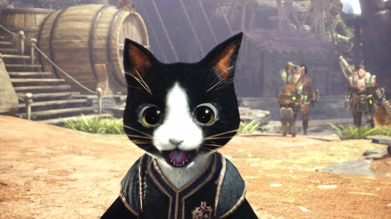 Videojuegos Gatos Nintendo