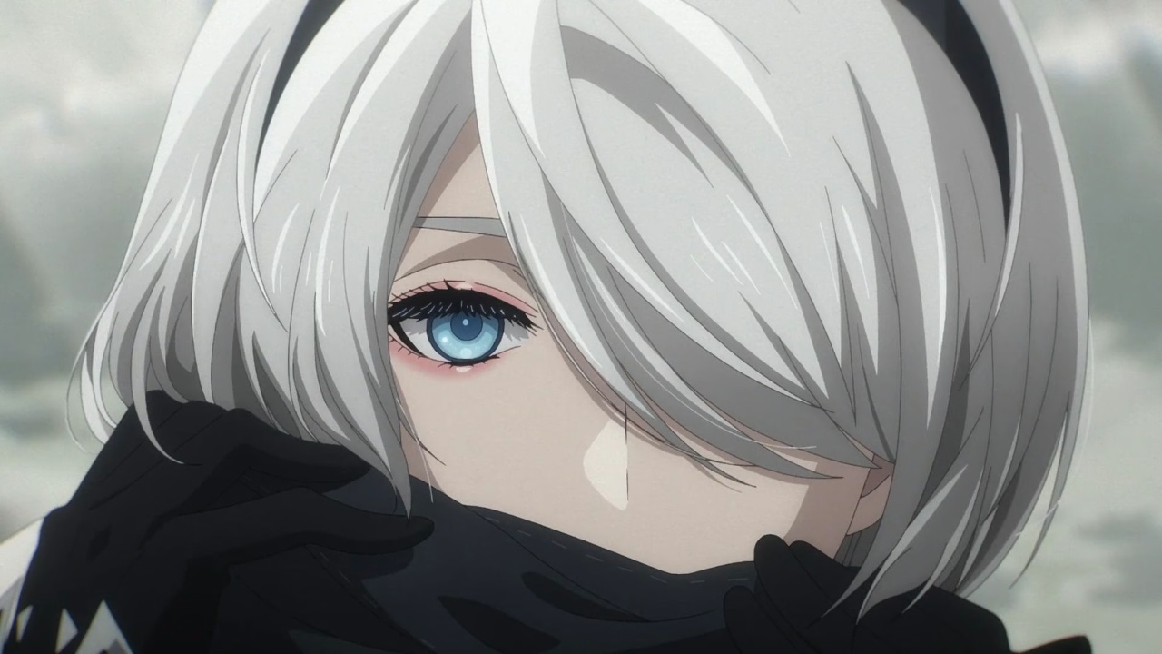 NieR: Automata Ver 1.1a