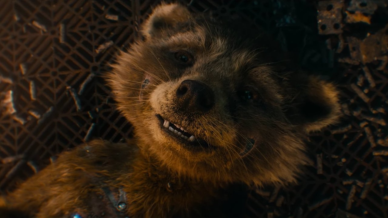 guardianes de la galaxia vol 3 origen nombre rocket marvel