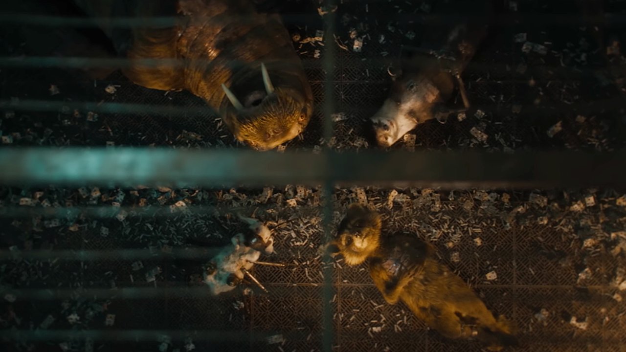 guardianes de la galaxia 3 rocket peta james gunn marvel