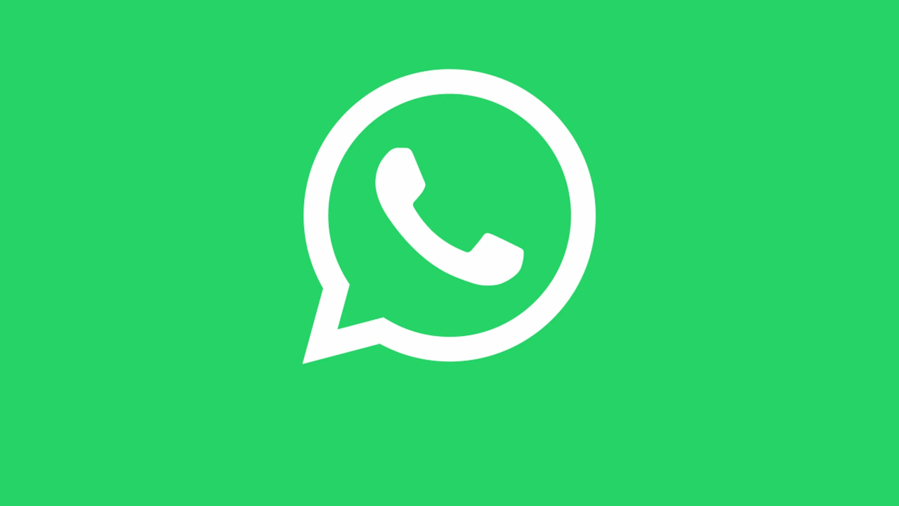 whatsapp renovacion aplicacion
