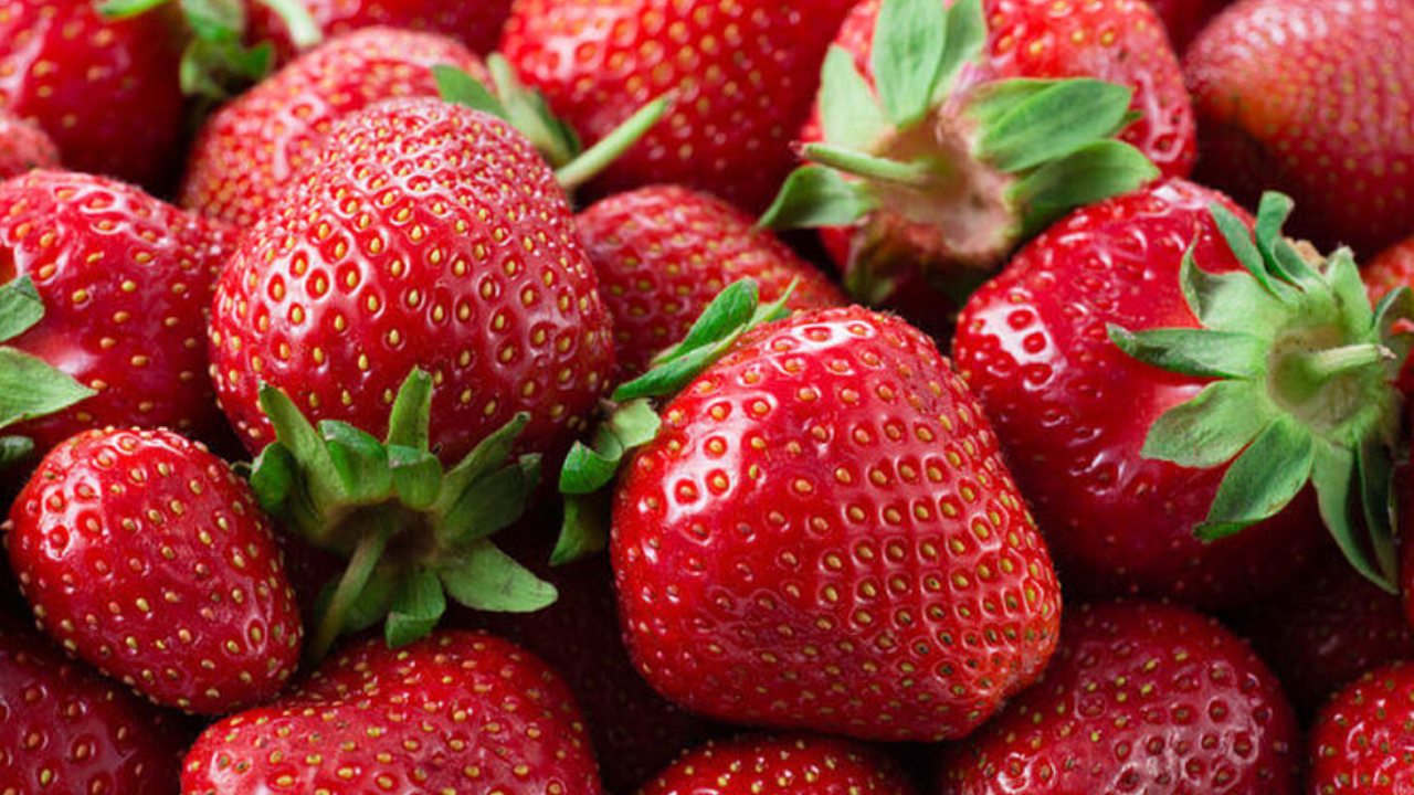 ciencia fresas puntitos semillas